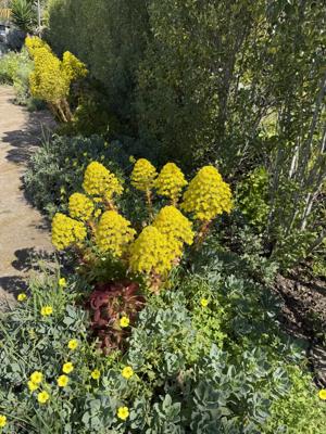 Alice Keck Park Memorial Garden